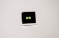 Lime Green