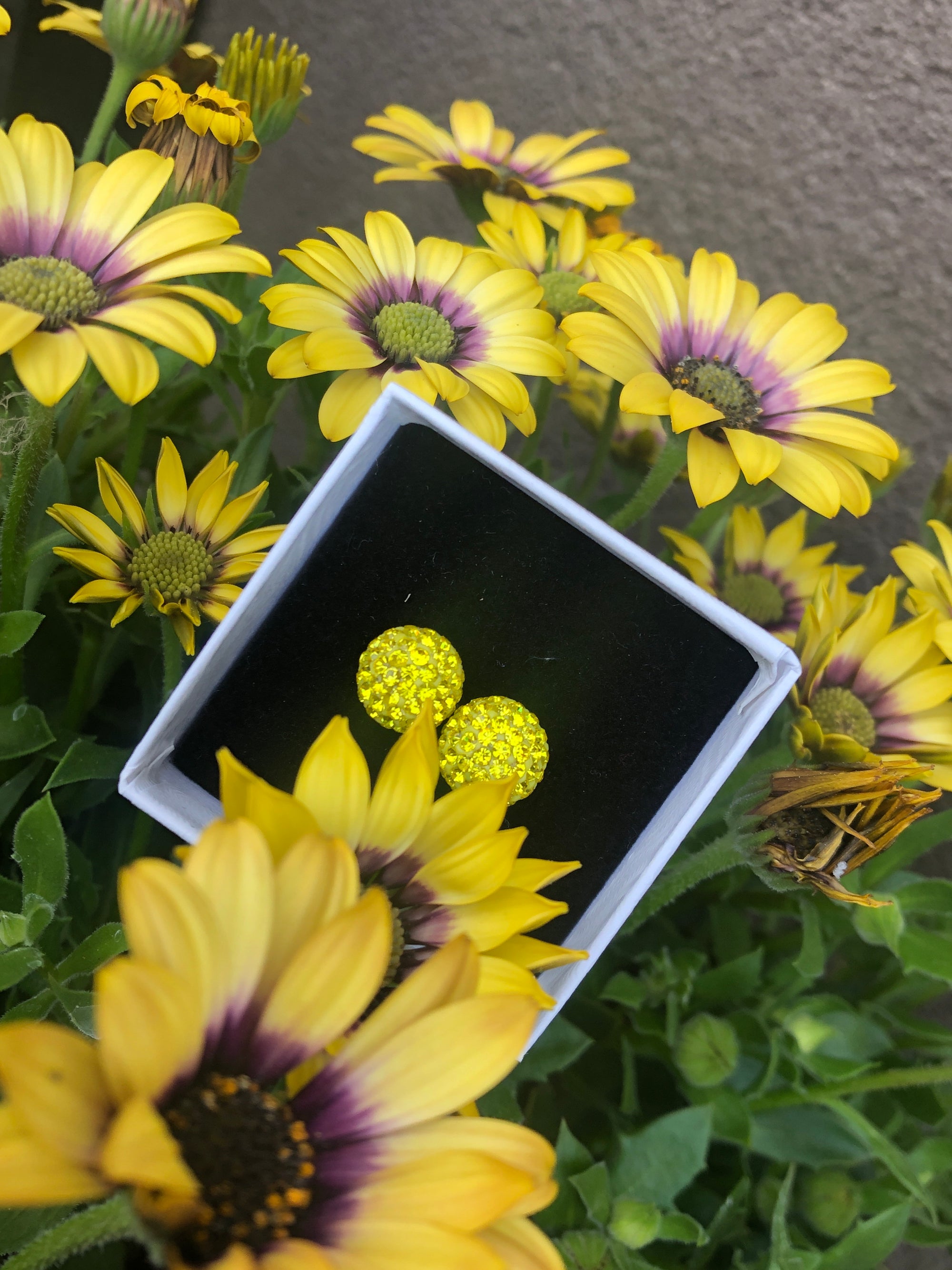 SunShine Yellow